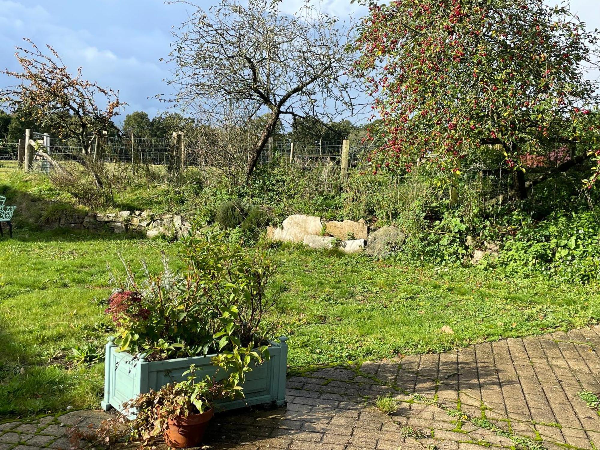 Cottages At Woodlands, Grooms Cottage Wareham Εξωτερικό φωτογραφία